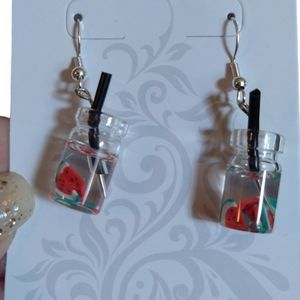 Watermelon Slice Drink Silver Hypoallergenic Fishhook Earrings